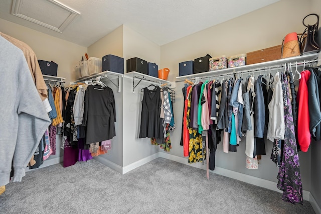 spacious closet featuring attic access and carpet floors