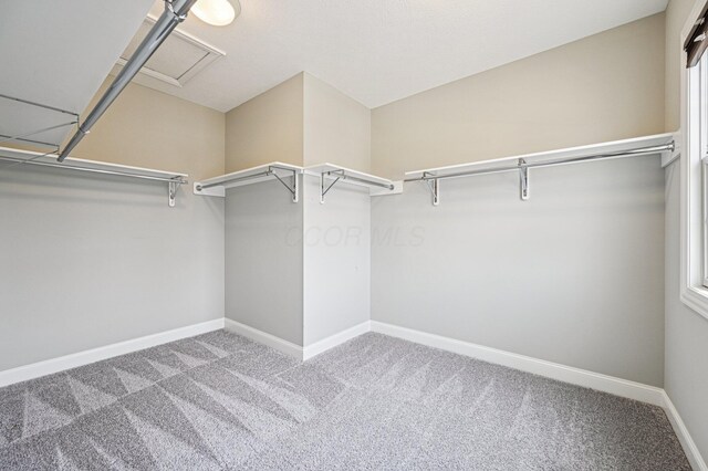 2241 Red Oak St, Lewis Center, OH 43035 - photo 29