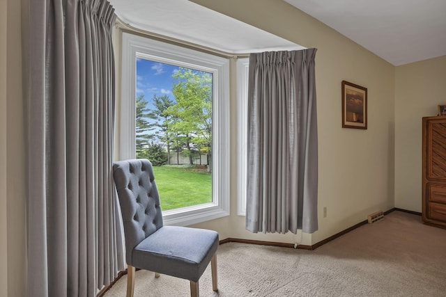 living area with baseboards, a wealth of natural light, and carpet