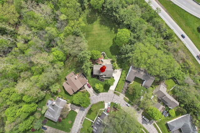 aerial view