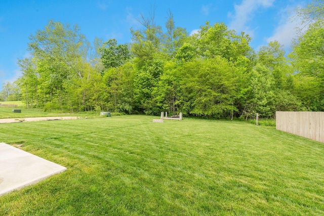 view of yard