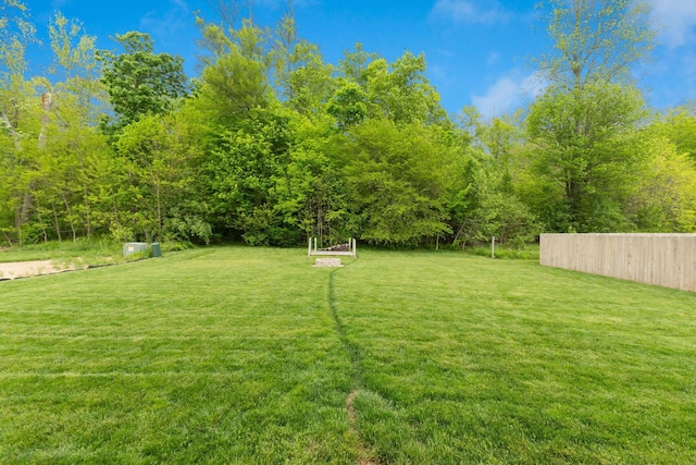 view of yard