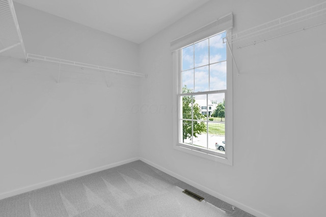 7553 Indian Creek Way, Powell, OH 43065 - spare room with carpet flooring and plenty of natural light