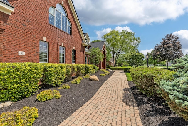 7581 Lanetta Ln, Westerville, OH 43082 - photo 6