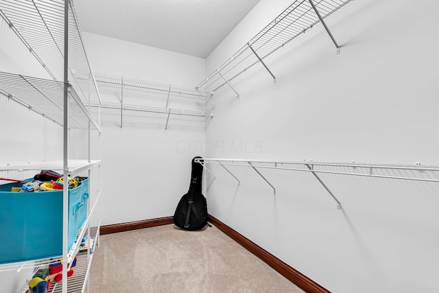 7581 Lanetta Ln, Westerville, OH 43082 - photo 52