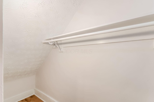 spacious closet featuring vaulted ceiling and wood finished floors