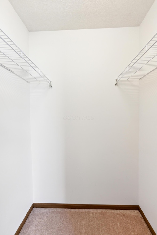 walk in closet featuring light carpet