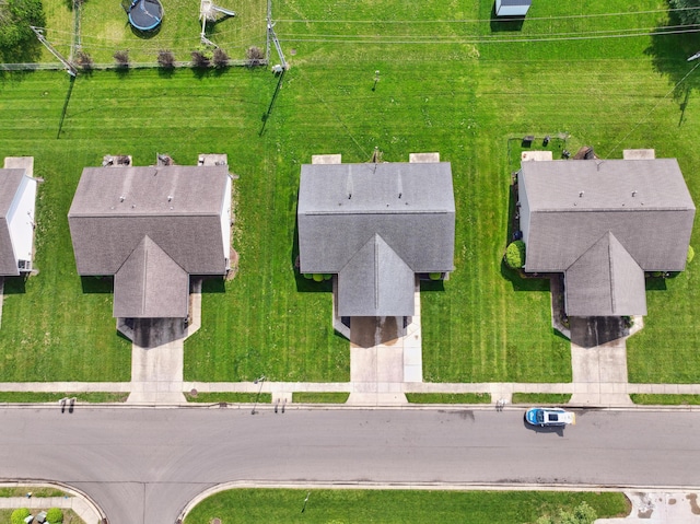 bird's eye view