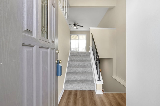 3935 Hillman Rd W, Columbus, OH 43207 - staircase featuring baseboards, ceiling fan, and wood finished floors