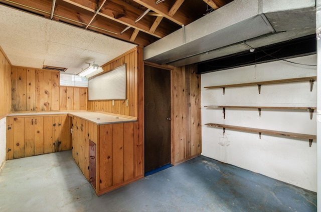 basement with wood walls