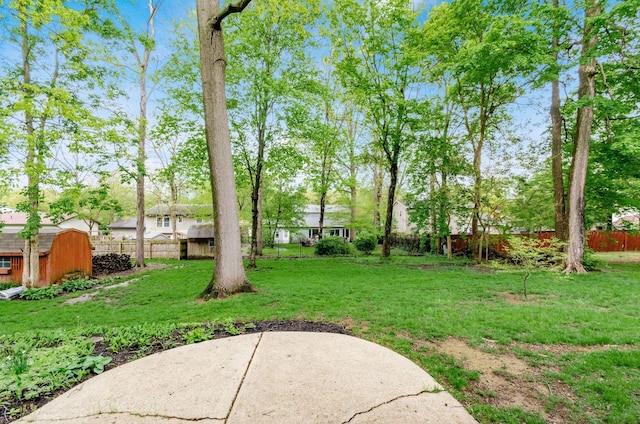 view of yard featuring an outbuilding, a patio area, a fenced backyard, and a storage unit