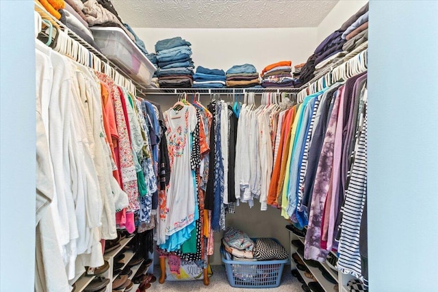 830 Avalon Dr, Pickerington, OH 43147 - spacious closet with carpet