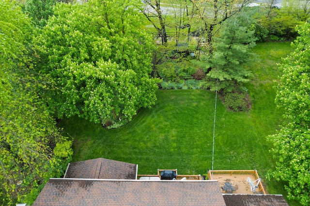 drone / aerial view
