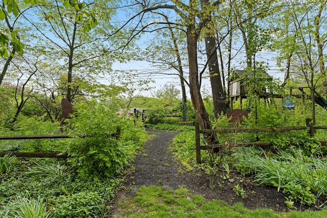 view of yard