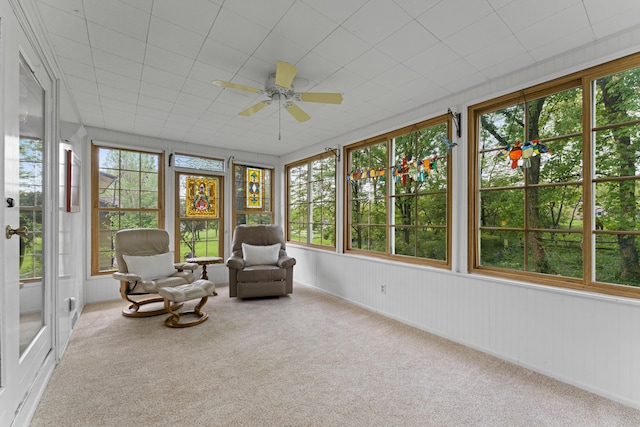 sunroom with carpet flooring