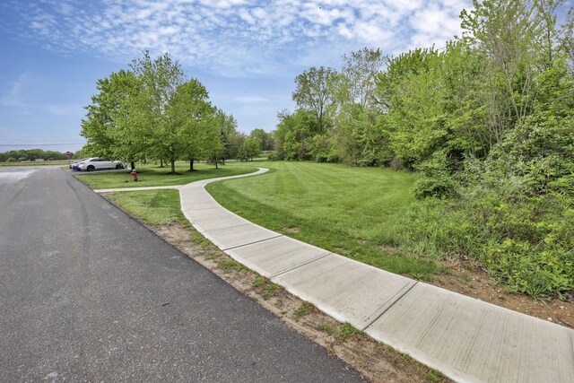 111 Coyote Willow Dr, Reynoldsburg, OH 43068 - photo 52
