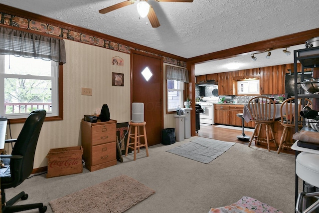 interior space featuring ceiling fan, a textured ceiling, light colored carpet, and ornamental molding
