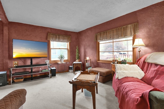 living area with carpet flooring, a textured ceiling, and a textured wall