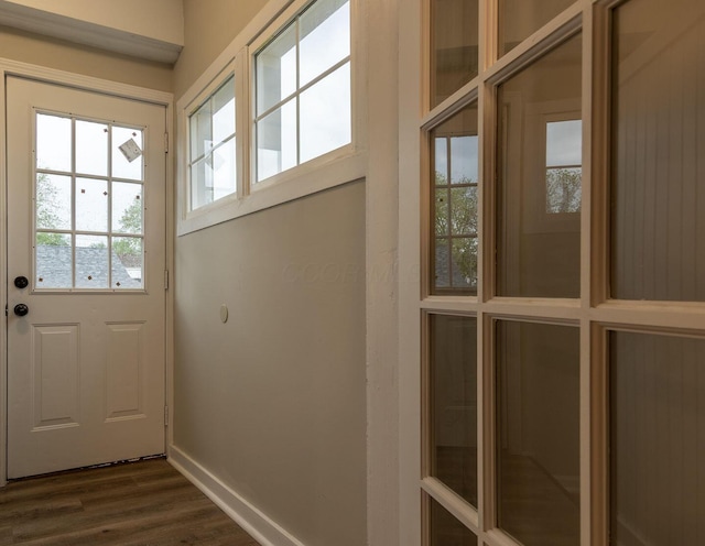 730 Forest Rose Ave, Lancaster, OH 43130 - doorway featuring plenty of natural light, dark wood-style floors, and baseboards