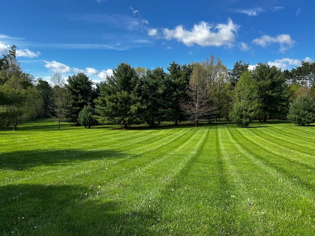 12601 Vincent Rd, Mount Vernon, OH 43050 - view of green lawn