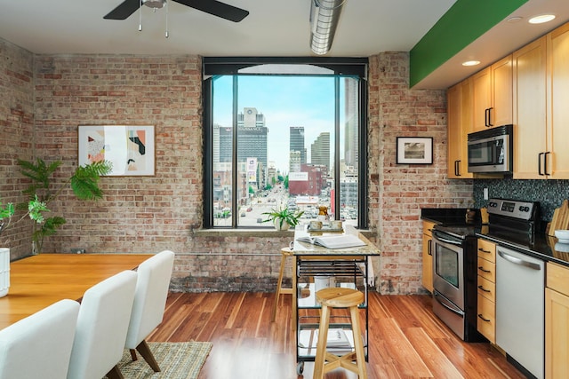 kitchen featuring dark countertops, a ceiling fan, a healthy amount of sunlight, and appliances with stainless steel finishes