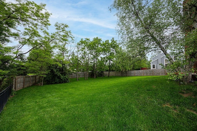 382 Beecher Rd, Columbus, OH 43230 - view of yard