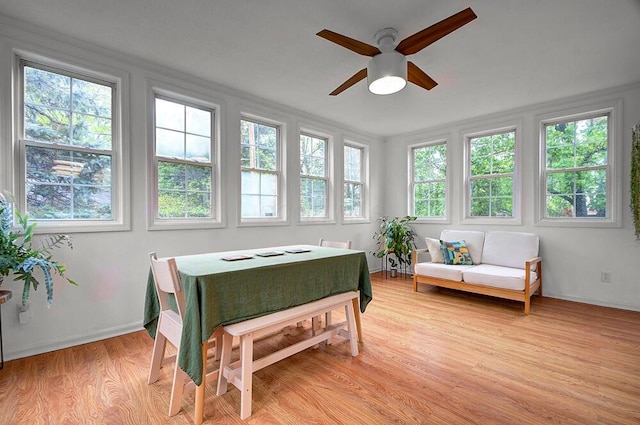 668 Enfield Rd, Columbus, OH 43209 - sunroom featuring plenty of natural light