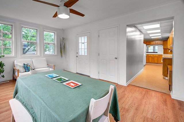 668 Enfield Rd, Columbus, OH 43209 - playroom with a ceiling fan, light wood-type flooring, and baseboards