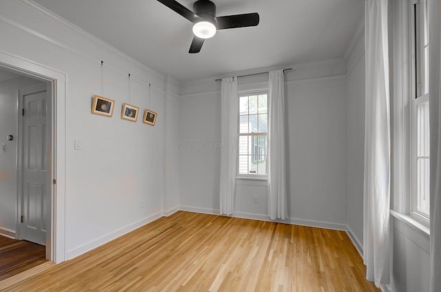 668 Enfield Rd, Columbus, OH 43209 - empty room featuring ceiling fan, light wood-style floors, baseboards, and ornamental molding