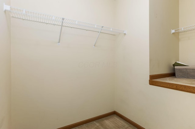 2099 Winding Hollow Dr, Grove City, OH 43123 - view of walk in closet
