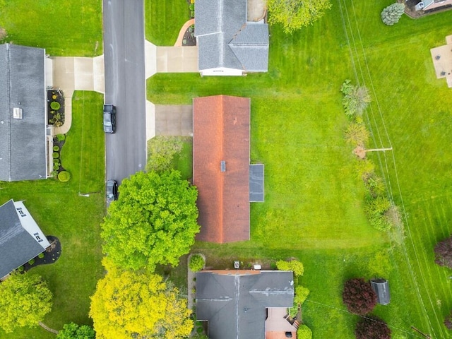 drone / aerial view