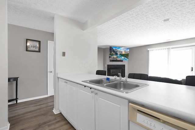4830 Brice Pond Dr Unit 1A, Canal Winchester, OH 43110 - kitchen featuring dishwasher, a sink, a textured ceiling, a glass covered fireplace, and white cabinetry