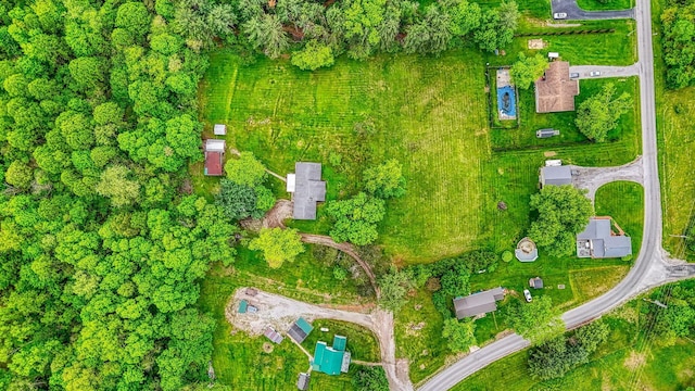 aerial view