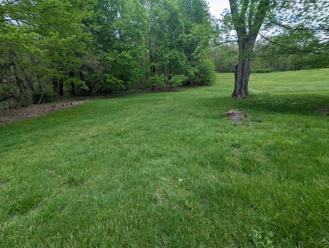 view of yard with a view of trees