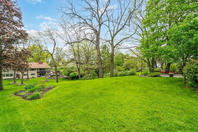 view of grassy yard