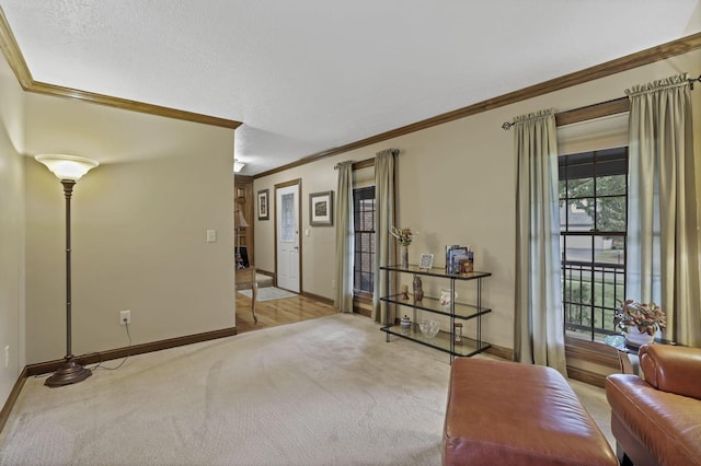7689 Godfrey Cir, Reynoldsburg, OH 43068 - living room with crown molding and carpet floors
