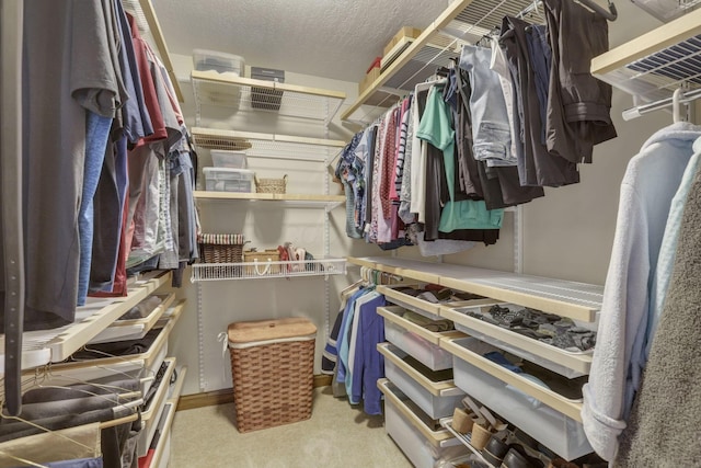 7689 Godfrey Cir, Reynoldsburg, OH 43068 - spacious closet with carpet flooring