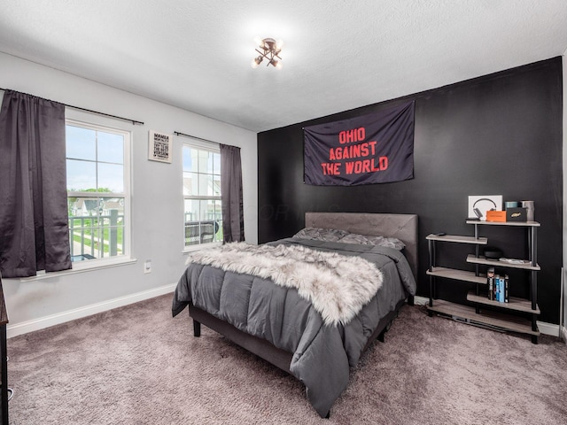 757 Avebury Dr, Pickerington, OH 43147 - bedroom featuring carpet, baseboards, and a textured ceiling