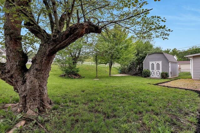 404 Stella Ave, Circleville, OH 43113 - view of green lawn with a storage unit and an outbuilding