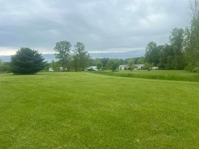 256 Mudswitch Rd, Martinsville, OH 45146 - view of property's community with a yard
