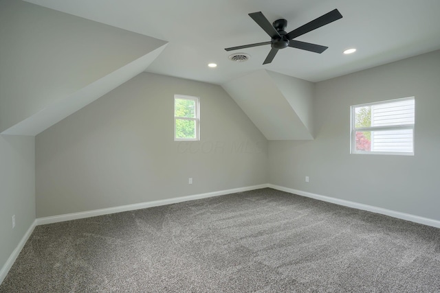 324 E Mound St, Circleville, OH 43113 - additional living space featuring plenty of natural light, carpet, and visible vents
