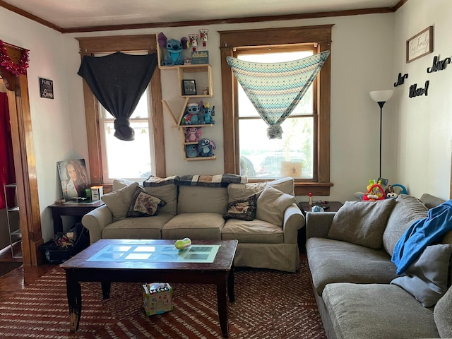 carpeted living area featuring ornamental molding