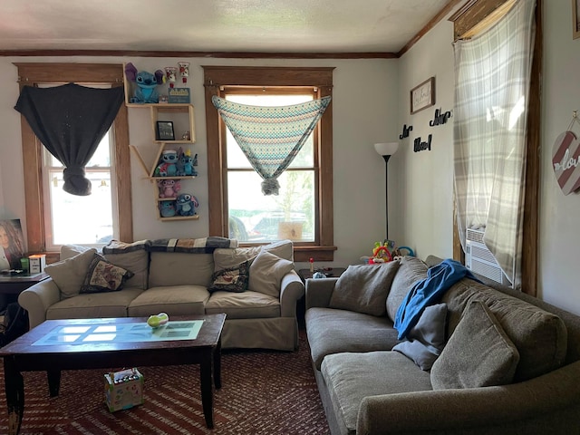 living area with crown molding