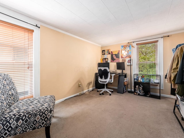 home office with ornamental molding, carpet floors, and baseboards