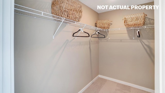 spacious closet featuring carpet floors