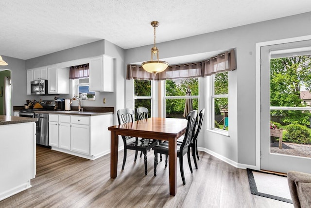 dining room featuring a textured ceiling, baseboards, plenty of natural light, and wood finished floors
