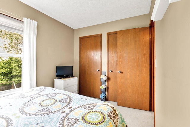bedroom featuring two closets, a textured ceiling, carpet, and multiple windows
