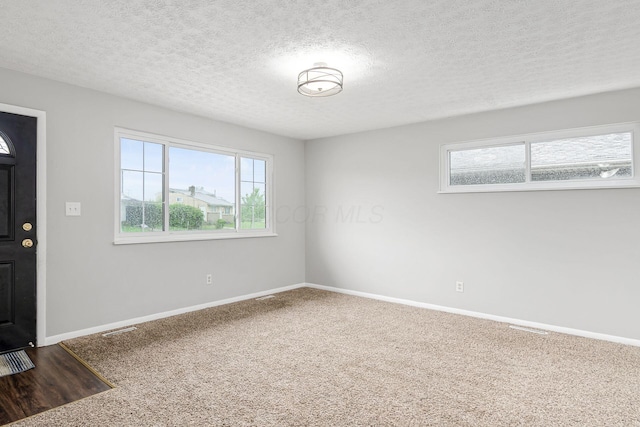 carpeted entryway featuring a textured ceiling, a wealth of natural light, and baseboards
