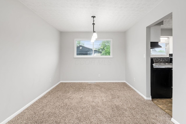unfurnished dining area with a textured ceiling, a wealth of natural light, baseboards, and light colored carpet