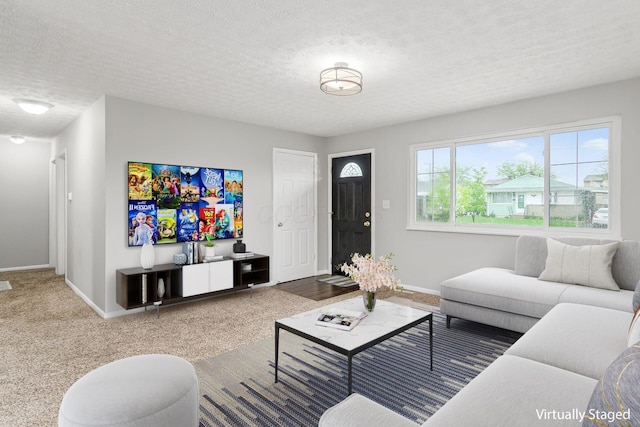 living area featuring a textured ceiling, baseboards, and carpet floors